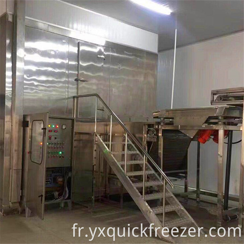 Fluidized Tunnel Bed Freezer